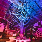 Seighof 3* Saalbach-Hinterglemm