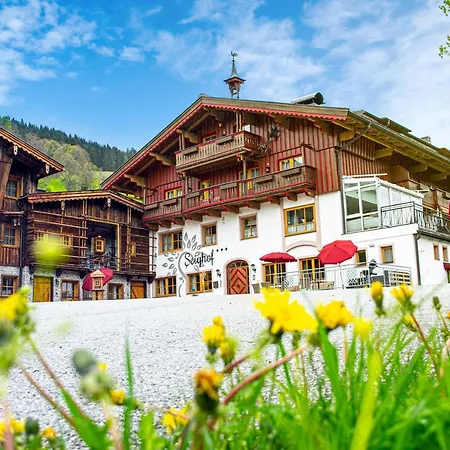 Pension Seighof - Geschichte Zum Anfassen Seit 1366 - Regionales Fruehstueck & Halbpension - Skishuttle - Ski In - Bergpanorama 4*