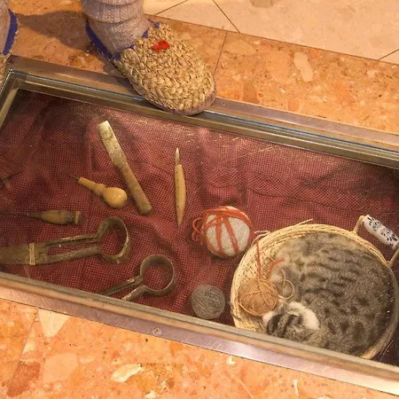 بيت ضيافة Seighof