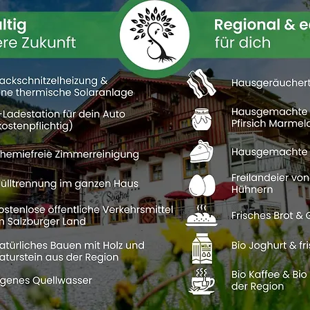 Seighof - Geschichte Zum Anfassen Seit 1366 - Inkl Bergbahnen Im Sommer - Regionales Fruehstueck - Bergpanorama - Joker Card Affittacamere Saalbach-Hinterglemm