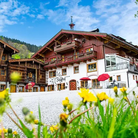Pension Seighof - Geschichte Zum Anfassen Seit 1366 - Regionales Fruehstueck & Halbpension - Skishuttle - Ski In - Bergpanorama 4*